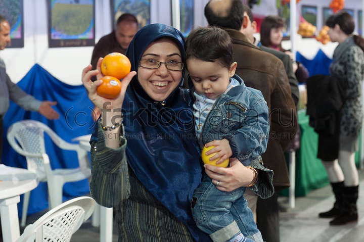 Иранская выставка 2013_10