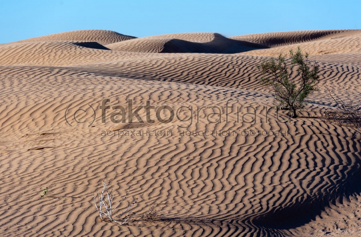 Пустыня_4
