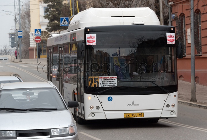Автобусы и маршрутки_6